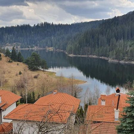 Вила Родопи Dospat Εξωτερικό φωτογραφία