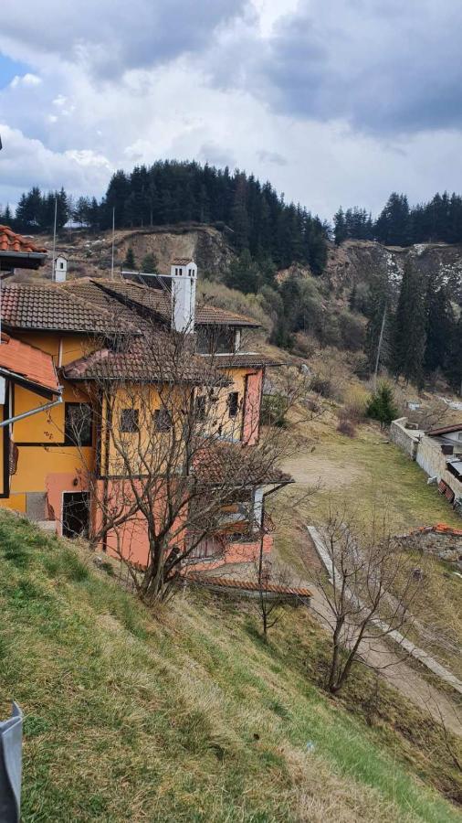 Вила Родопи Dospat Εξωτερικό φωτογραφία