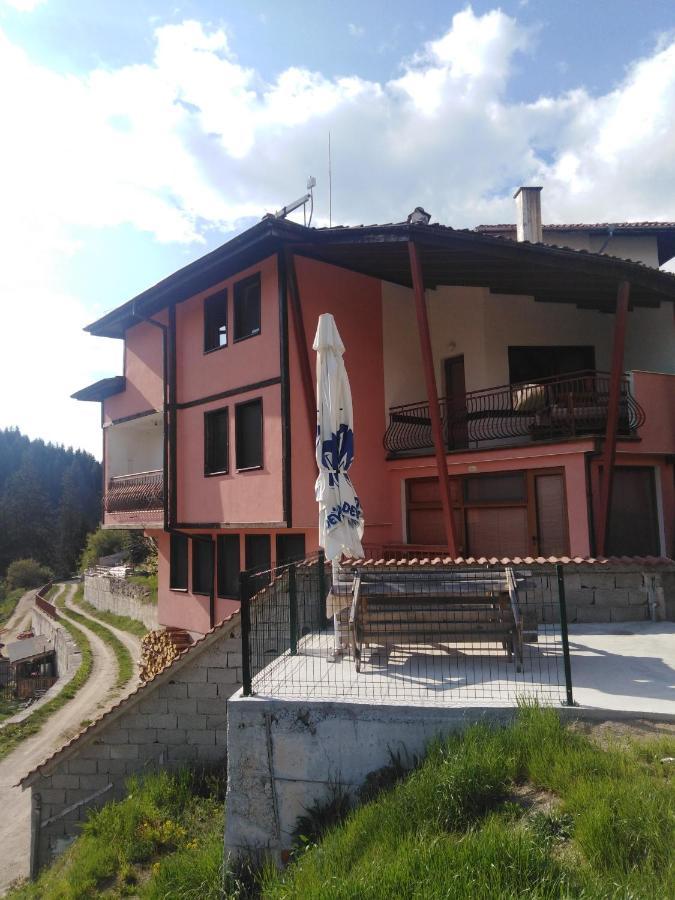Вила Родопи Dospat Εξωτερικό φωτογραφία